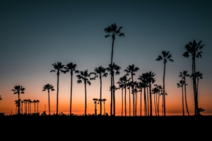 Studera i Los Angeles, Studer i Los Angeles