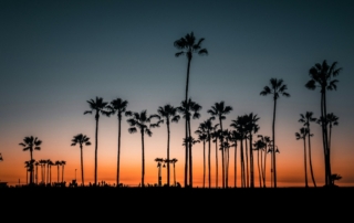 Studera i Los Angeles, Studer i Los Angeles